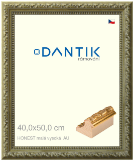 DANTIK rám na obraz 40x50 | HONEST malá vysoká AU (Sklo Čiré)