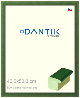 DANTIK rám na obraz 40x50 | BOXzelená mořená (Sklo Čiré)