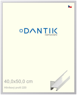 DANTIK rám na obraz 40x50 | ALU Bílá matná (Sklo Čiré)