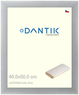 DANTIK rám na obraz 40x50 | LEDVINKA bílá (Sklo Čiré)