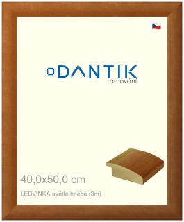 DANTIK rám na obraz 40x50 | LEDVINKA světle hnědá (Sklo Čiré)