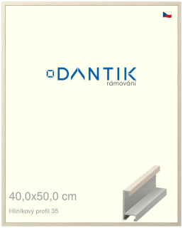 DANTIK rám na obraz 40x50 | ALU Dýha slonová kost (Sklo Čiré)