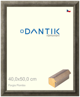 DANTIK rám na obraz 40x50 | Forgia Piombo (Sklo Čiré)