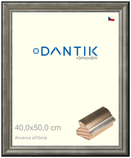 DANTIK rám na obraz 40x50 | ANIVERSA stříbrná (Sklo Čiré)