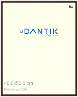 DANTIK rám na obraz 40x50 | ALU Hnědá umbra broušená (Sklo Čiré)