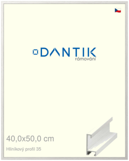 DANTIK rám na obraz 40x50 | ALU Dýha bílá (Sklo Čiré)