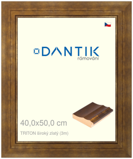 DANTIK rám na obraz 40x50 | TRITON široký zlatý (Sklo Čiré)