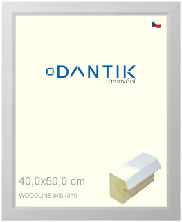 DANTIK rám na obraz 40x50 | WOODLINE bílá (Sklo Čiré)