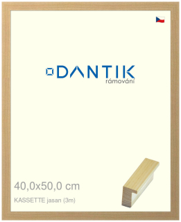 DANTIK rám na obraz 40x50 | KASSETTE jasan (Sklo Čiré)