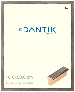 DANTIK rám na obraz 40x50 | Metalli oidati AGsvětlá (Sklo Čiré)