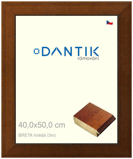 DANTIK rám na obraz 40x50 | BRETA hnědá (Sklo Čiré)