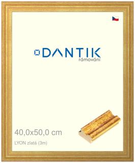 DANTIK rám na obraz 40x50 | LYON zlatá (Sklo Čiré)