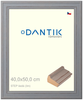DANTIK rám na obraz 40x50 | STEP šedá (Sklo Čiré)
