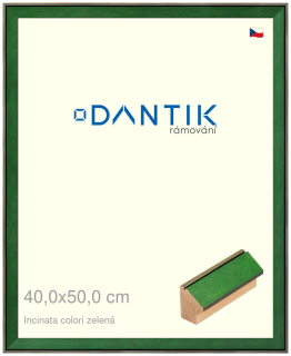 DANTIK rám na obraz 40x50 | INCLINATA colori zelená (Sklo Čiré)