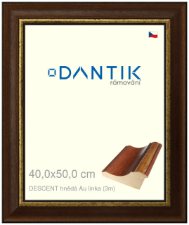 DANTIK rám na obraz 40x50 | DESCENT hnědá Au linka (Sklo Čiré)