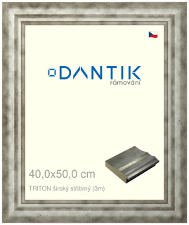 DANTIK rám na obraz 40x50 | TRITON široký stříbrný (Sklo Čiré)
