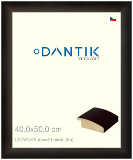 DANTIK rám na obraz 40x50 | LEDVINKA tmavě hnědá (Sklo Čiré)
