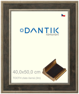DANTIK rám na obraz 40x50 | TOOTH zlato černá (Sklo Čiré)