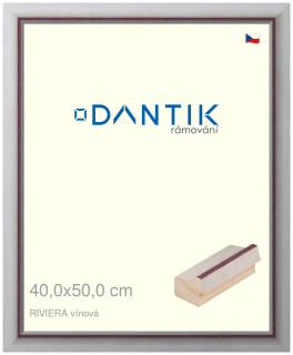 DANTIK rám na obraz 40x50 | RIVIERA vínová (Sklo Čiré)