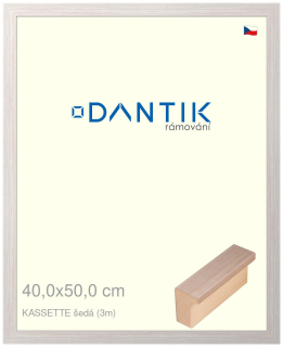 DANTIK rám na obraz 40x50 | KASSETTE šedá (Sklo Čiré)