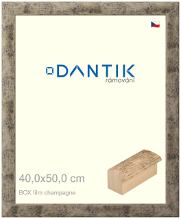 DANTIK rám na obraz 40x50 | BOX film champagne (Sklo Čiré)
