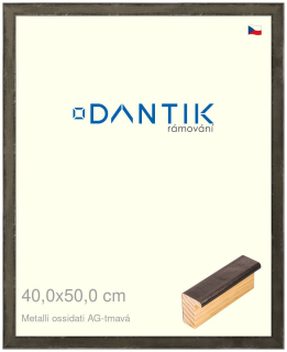 DANTIK rám na obraz 40x50 | Metalli oidati AG tmavá (Sklo Čiré)