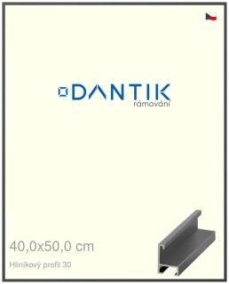 DANTIK rám na obraz 40x50 | ALU Dýha barevná šedá tmavá (Sklo Čiré)