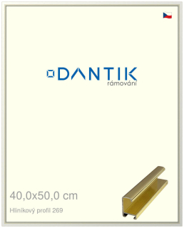 DANTIK rám na obraz 40x50 | ALU Zlatá lesklá (Sklo Čiré)
