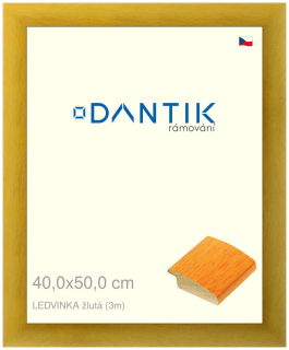DANTIK rám na obraz 40x50 | LEDVINKA žlutá (Sklo Čiré)