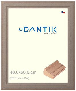 DANTIK rám na obraz 40x50 | STEP hnědá (Sklo Čiré)
