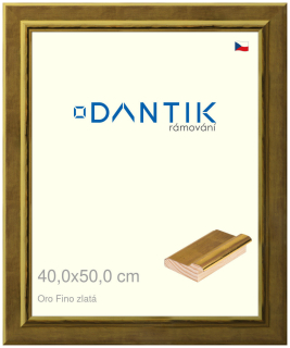 DANTIK rám na obraz 40x50 | Oro Fino zlatá (Sklo Čiré)