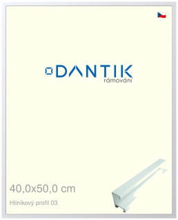 DANTIK rám na obraz 40x50 | ALU Bílá matná (Sklo Čiré)