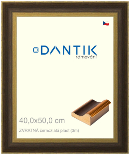 DANTIK rám na obraz 40x50 | ZVRATNÁ černozlatá plast (Sklo Čiré)