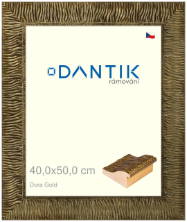 DANTIK rám na obraz 40x50 | Dora Gold (Sklo Čiré)