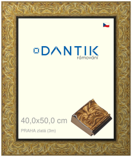 DANTIK rám na obraz 40x50 | PRAHA zlatá (Sklo Čiré)