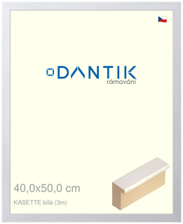 DANTIK rám na obraz 40x50 | KASSETTE bílá (Sklo Čiré)