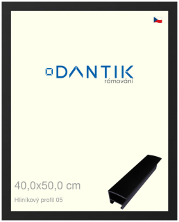 DANTIK rám na obraz 40x50 | ALU Černá matná (Sklo Čiré)