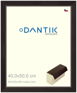 DANTIK rám na obraz 40x50 | WOODLINE hnědá (Sklo Čiré)