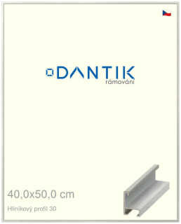 DANTIK rám na obraz 40x50 | ALU Dýha barevná šedá světlá (Sklo Čiré)