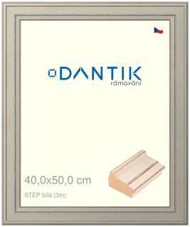 DANTIK rám na obraz 40x50 | STEP bílá (Sklo Čiré)