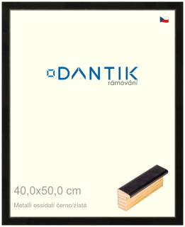 DANTIK rám na obraz 40x50 | Metalli oidati černozlatá (Sklo Čiré)