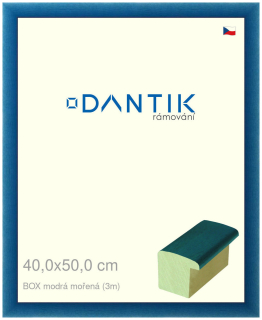 DANTIK rám na obraz 40x50 | BOX modrá mořená (Sklo Čiré)