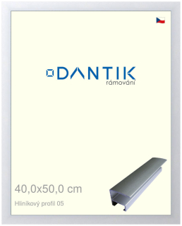 DANTIK rám na obraz 40x50 | ALU Stříbrná matná (Sklo Čiré)
