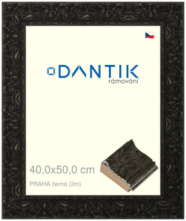 DANTIK rám na obraz 40x50 | PRAHA černá (Sklo Čiré)