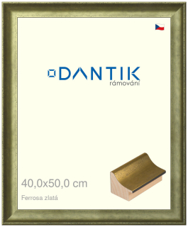 DANTIK rám na obraz 40x50 | Ferrosa zlatá (Sklo Čiré)