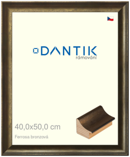 DANTIK rám na obraz 40x50 | Ferrosa bronzová (Sklo Čiré)
