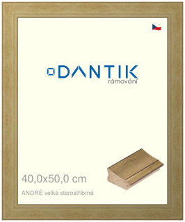 DANTIK rám na obraz 40x50 | ANDRÉ velká starostříbrná (Sklo Čiré)