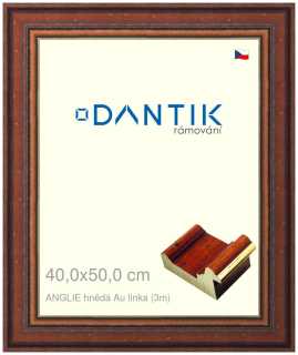 DANTIK rám na obraz 40x50 | ANGLIE hnědá Au linka (Sklo Čiré)