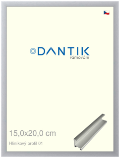 DANTIK rám na obraz 15x20 | ALU Stříbrná matná (Sklo Čiré)