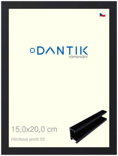 DANTIK rám na obraz 15x20 | ALU Černá matná (Sklo Čiré)